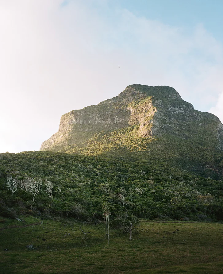 Lord Howe Jason Round 3680-02-copy.jpg
