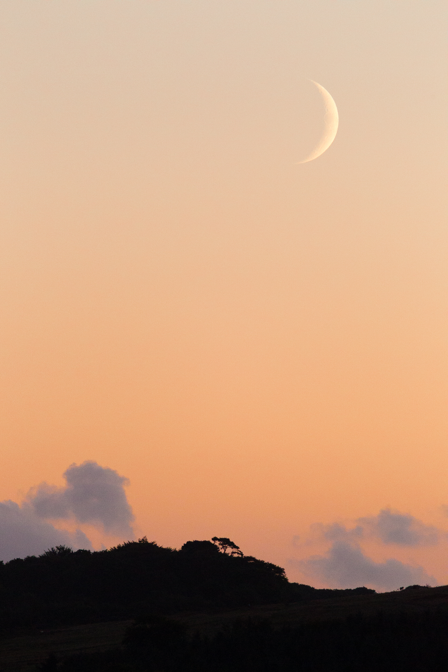 Sunset and Moon.jpg
