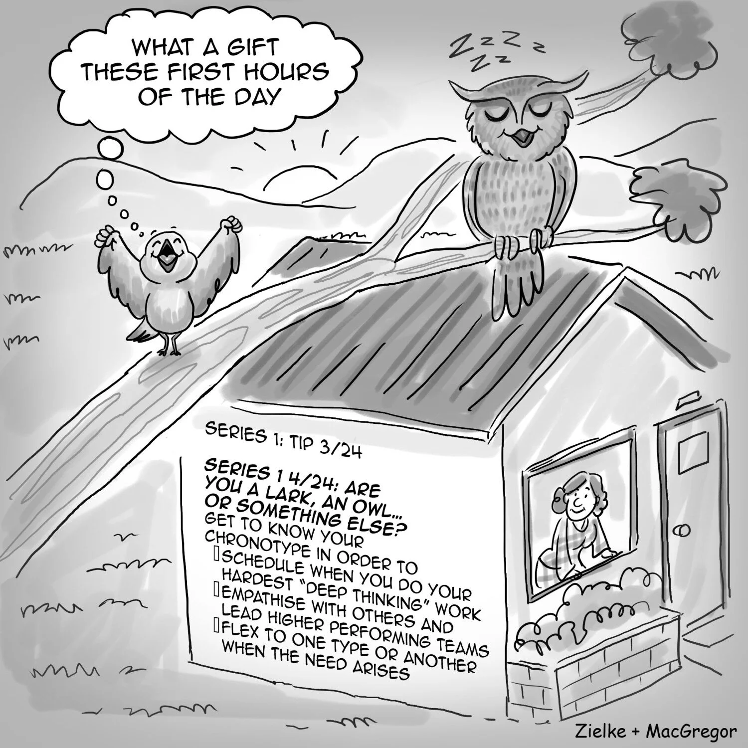 precious owl dog bed