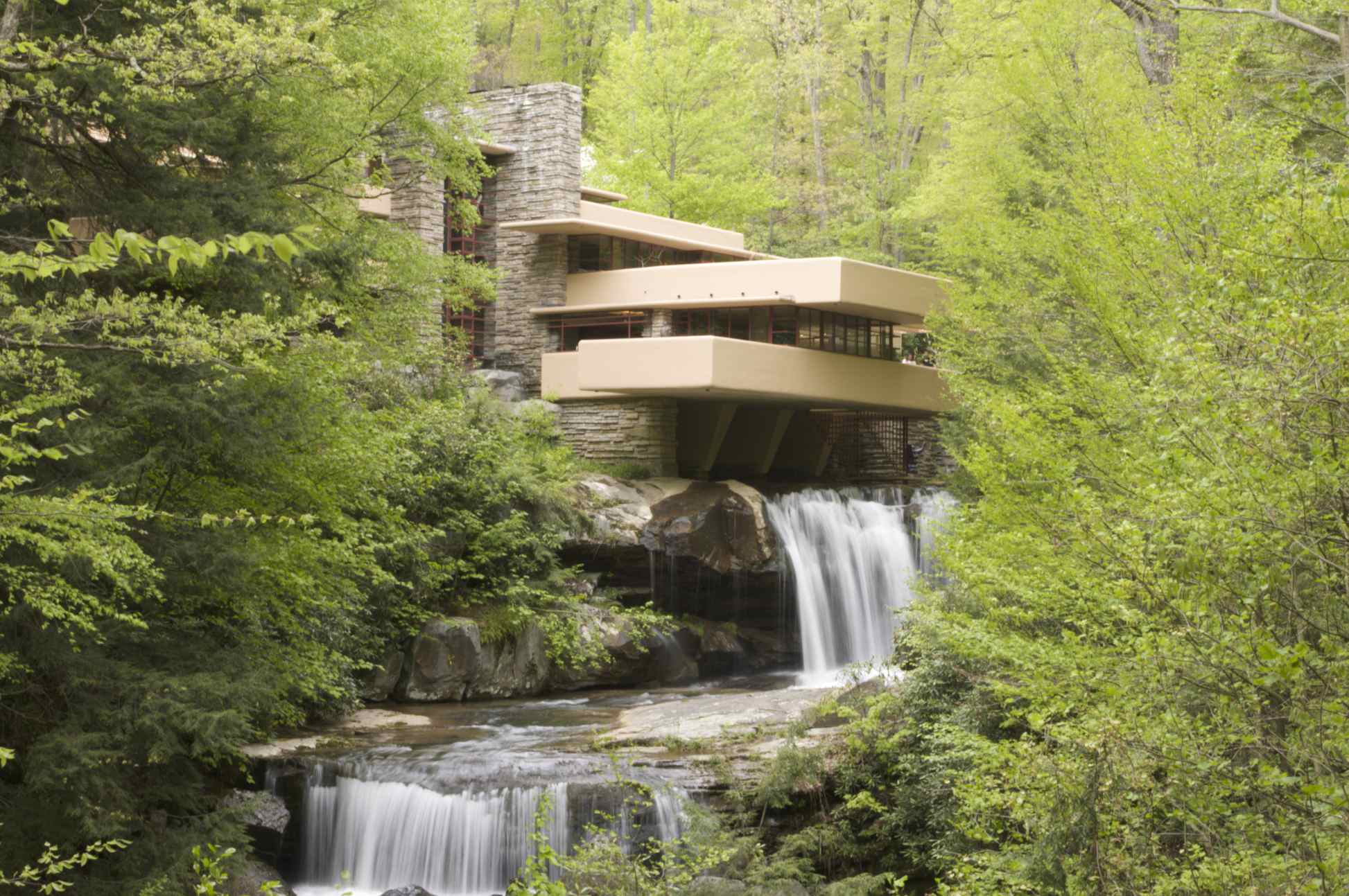 Fallingwater: The View