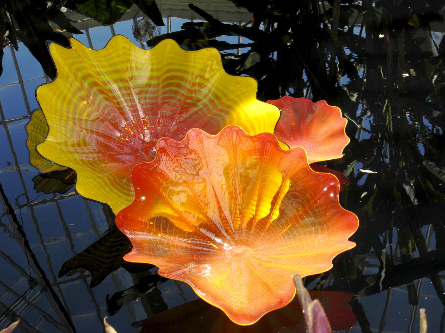 Dale Chihuly: Pittsburgh Phipps Conservatory