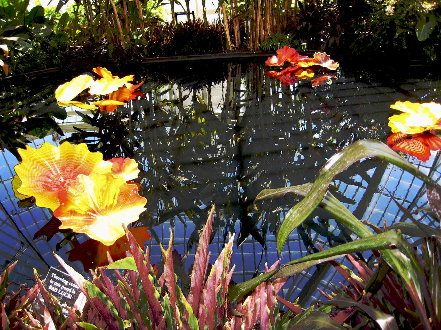 Dale Chihuly: Pittsburgh Phipps Conservatory