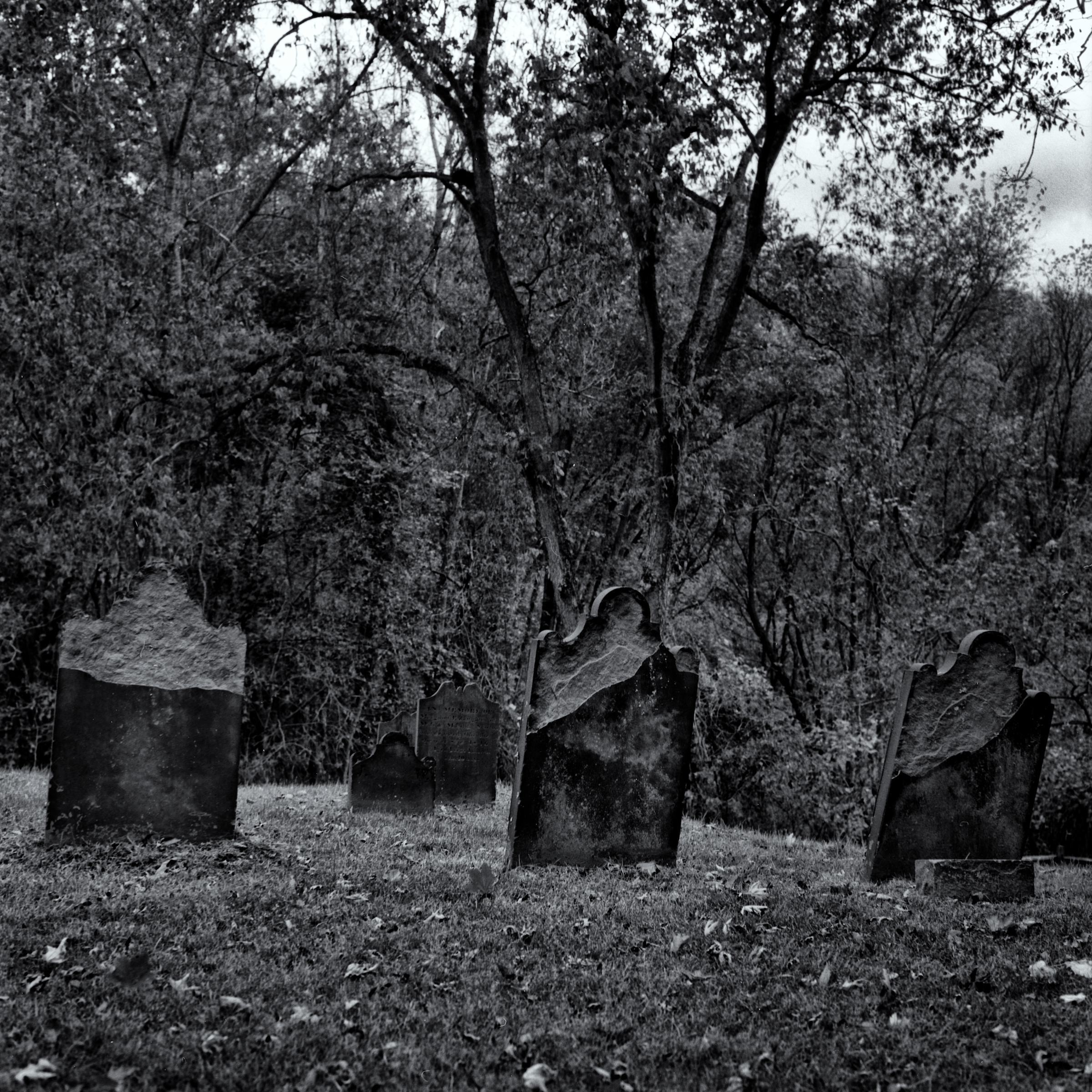 Dravo Cemetery: Unknown Family Headstones