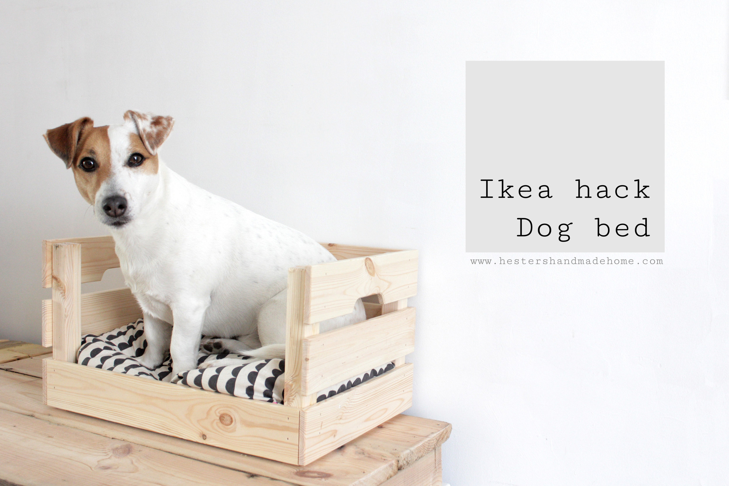 https://images.squarespace-cdn.com/content/v1/52b0413de4b0c8fba4ecefa2/1489093359199-2HLHRUH95JU9BLTZY6O7/Ikea+hack+dog+bed+by+www.hestershandmadehome.com