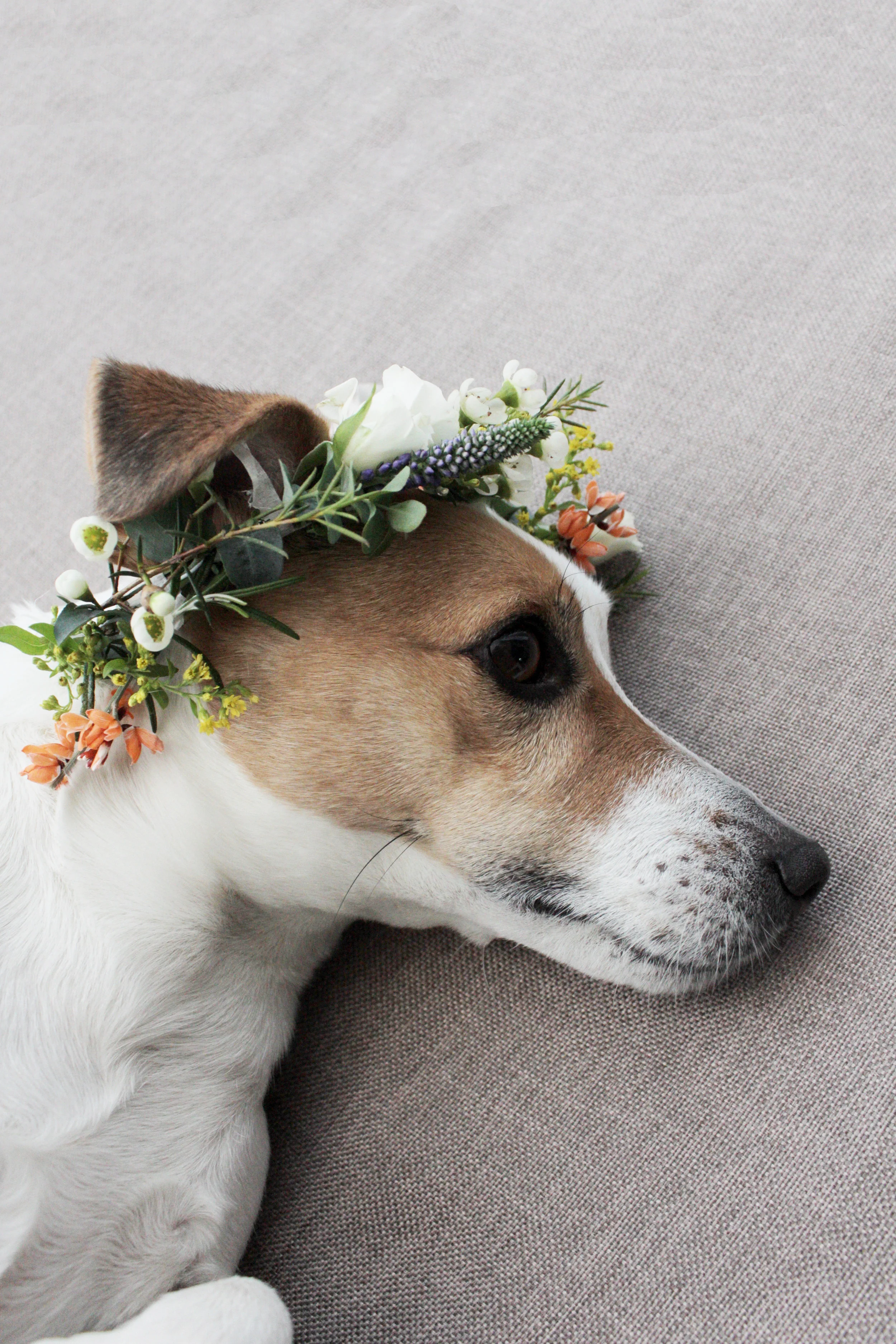 How To Make A Flower Crown Hester S Handmade Home