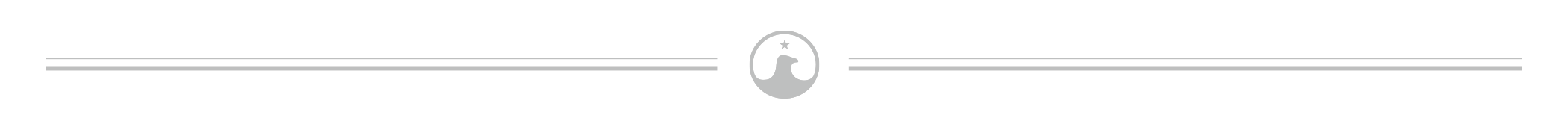horizontal_divider.png