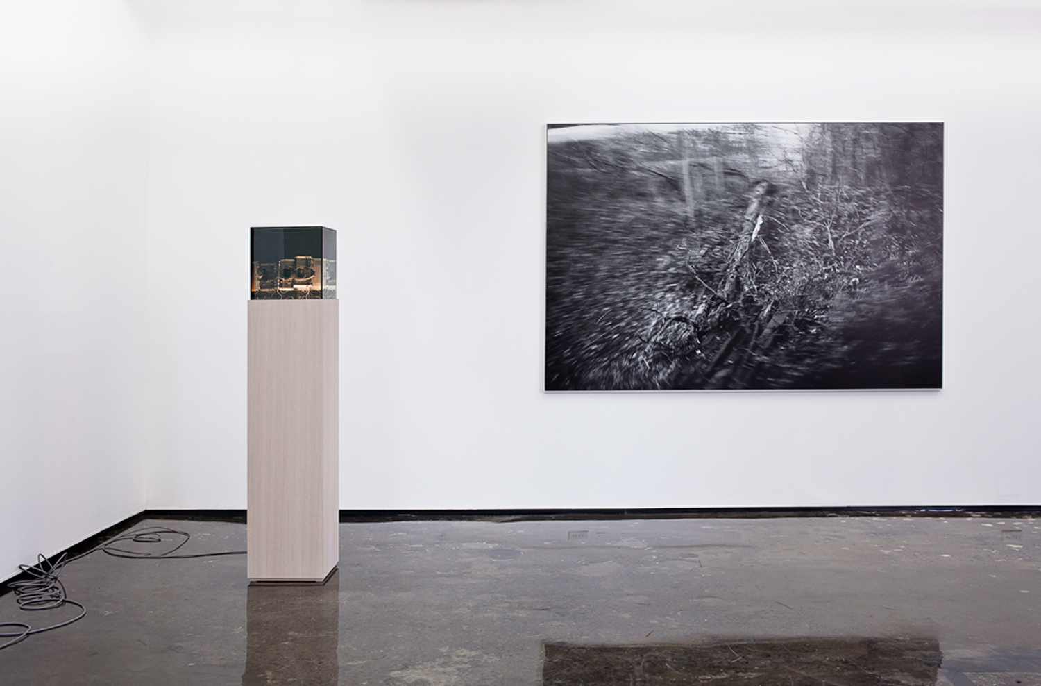 Andrew Wright, 'Untitled Photographic Pictures' at Patrick Mikhail Montreal