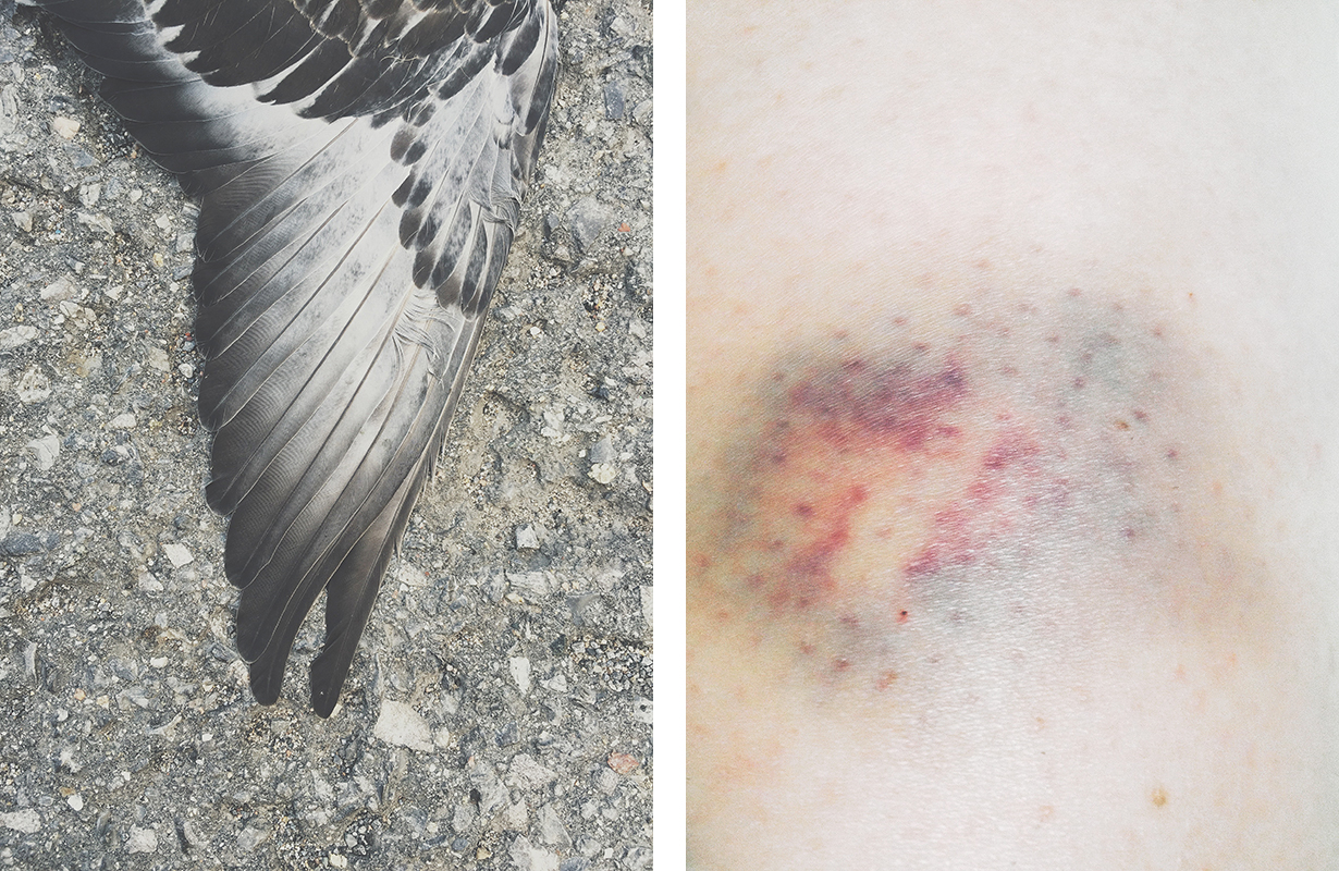 Julia Martin, (left to right) Your Wings Will Never Be Still , A Means by Which to Measure the Passing of Time , Photographs, 24x32, inkjet prints, 2015