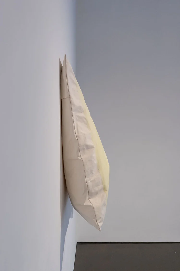 Jessica Bell, Should We Stop Here?, Installation View