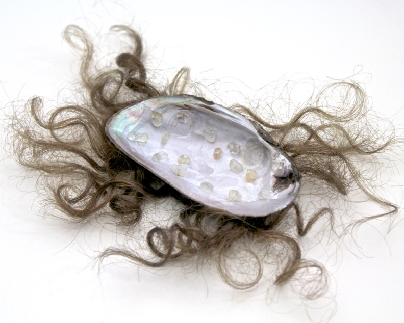 Hybrid 3, shell, hair, 5 X 7 X 1 inches, 2019