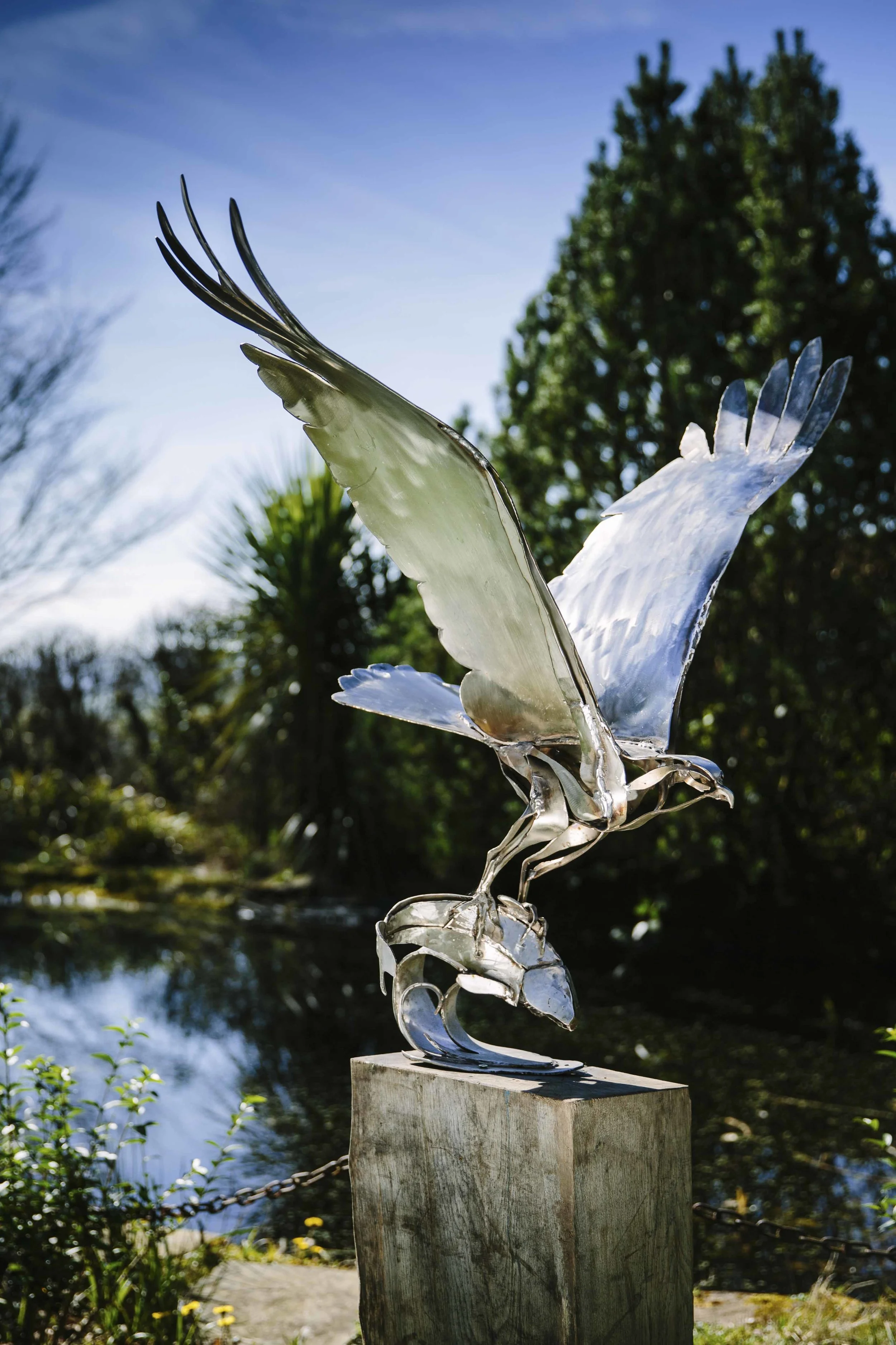 Clare_Bigger_Sculpture_Osprey01.jpg