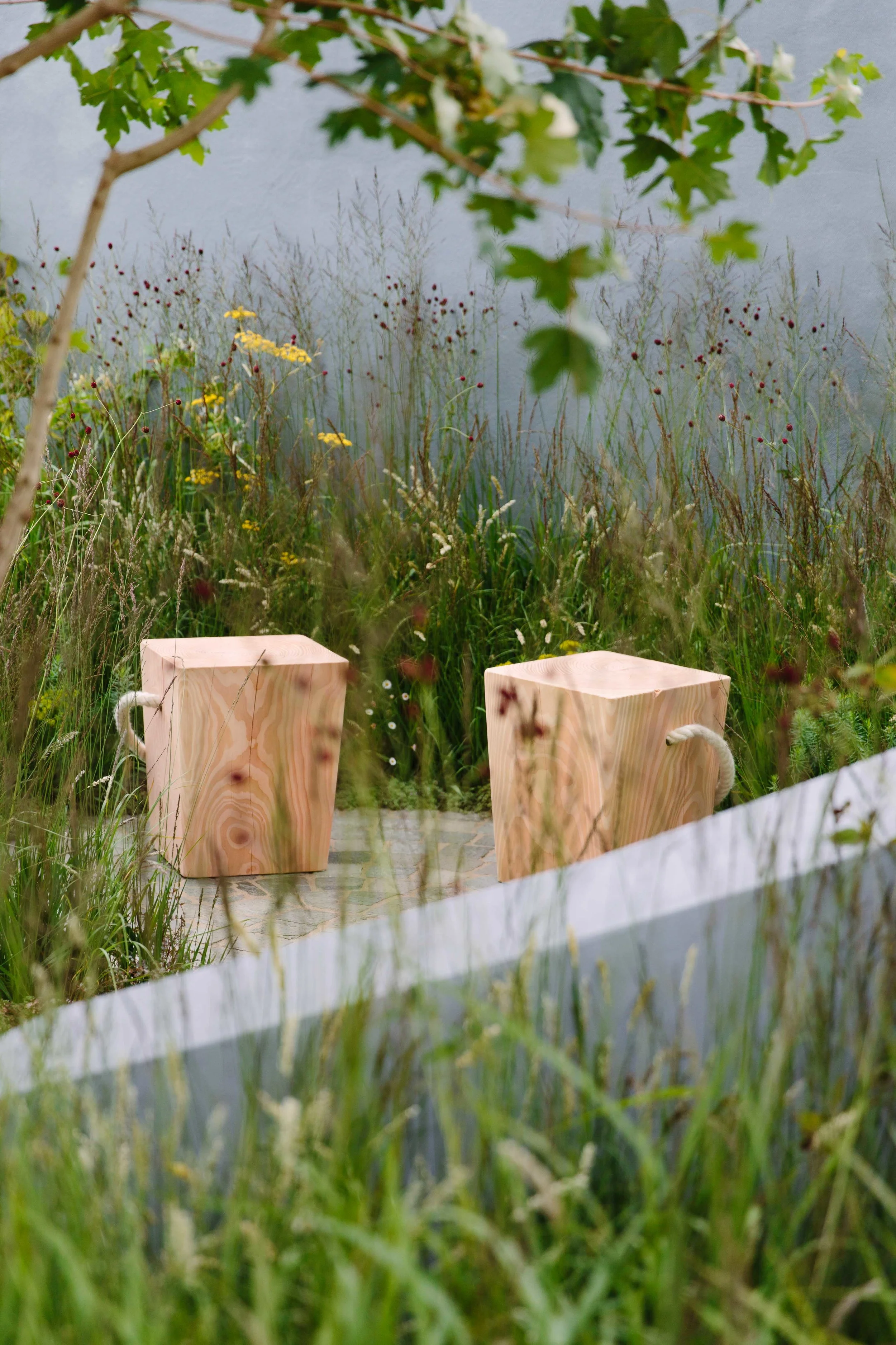 RHS_Tatton_2015_Jarman_Murphy07.jpg
