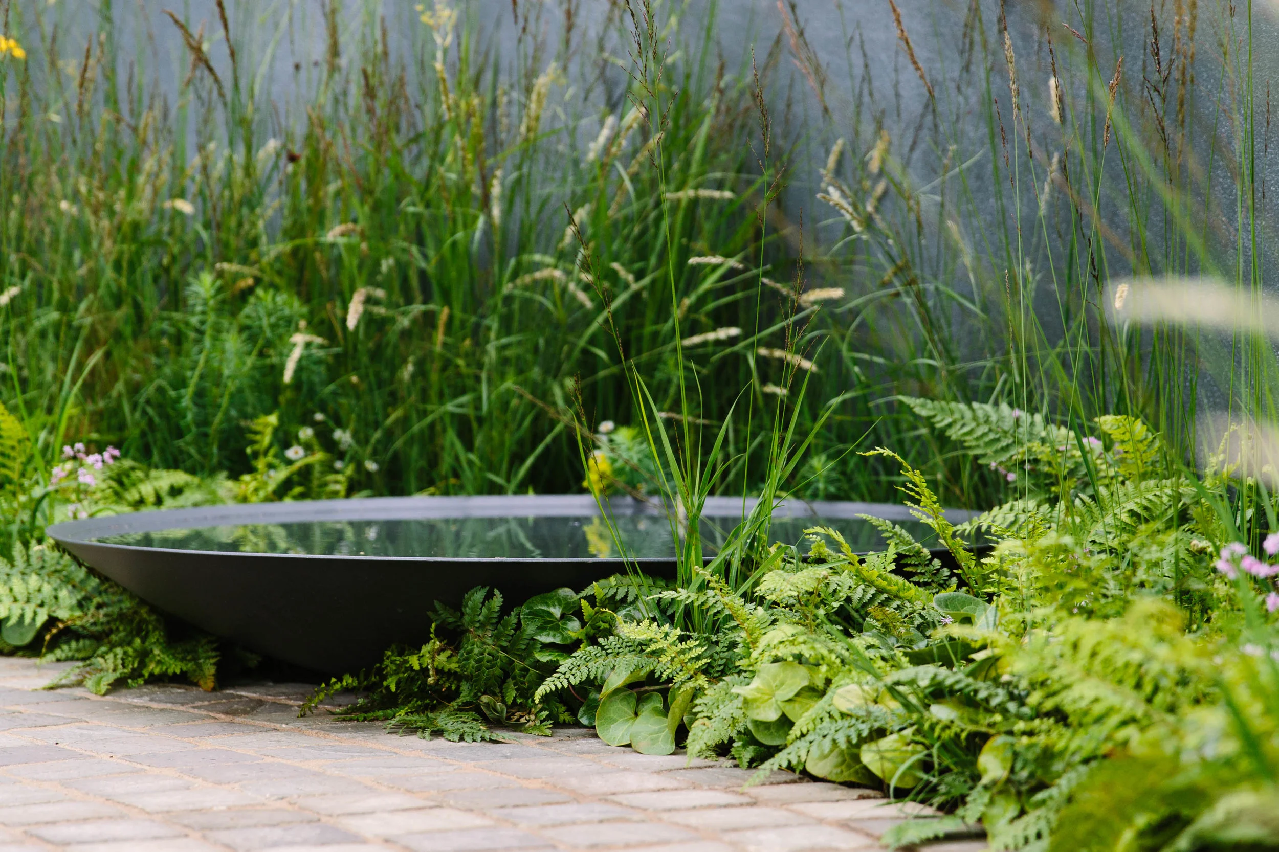 RHS_Tatton_2015_Jarman_Murphy11.jpg