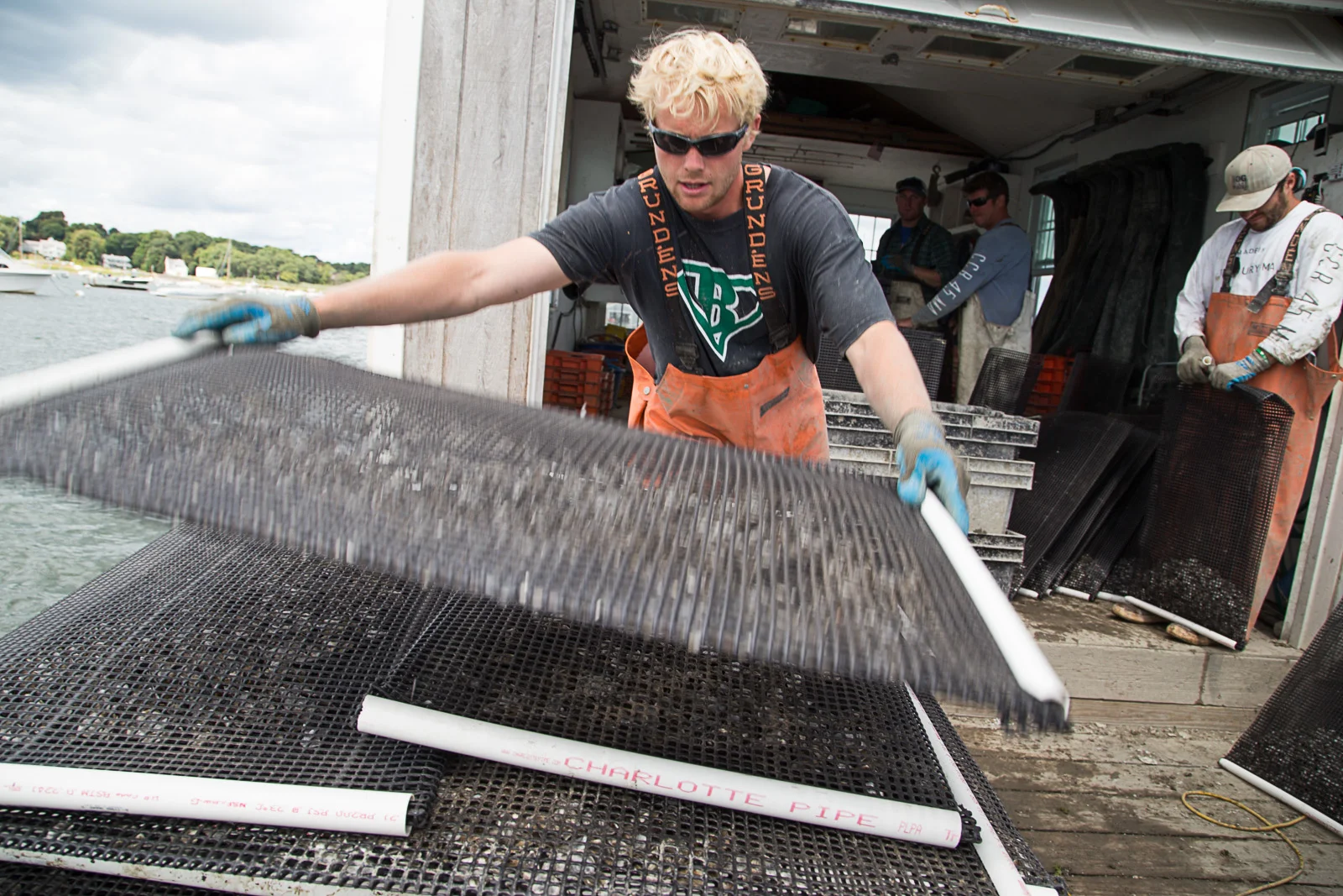 island_creek_oyster-2233.jpg