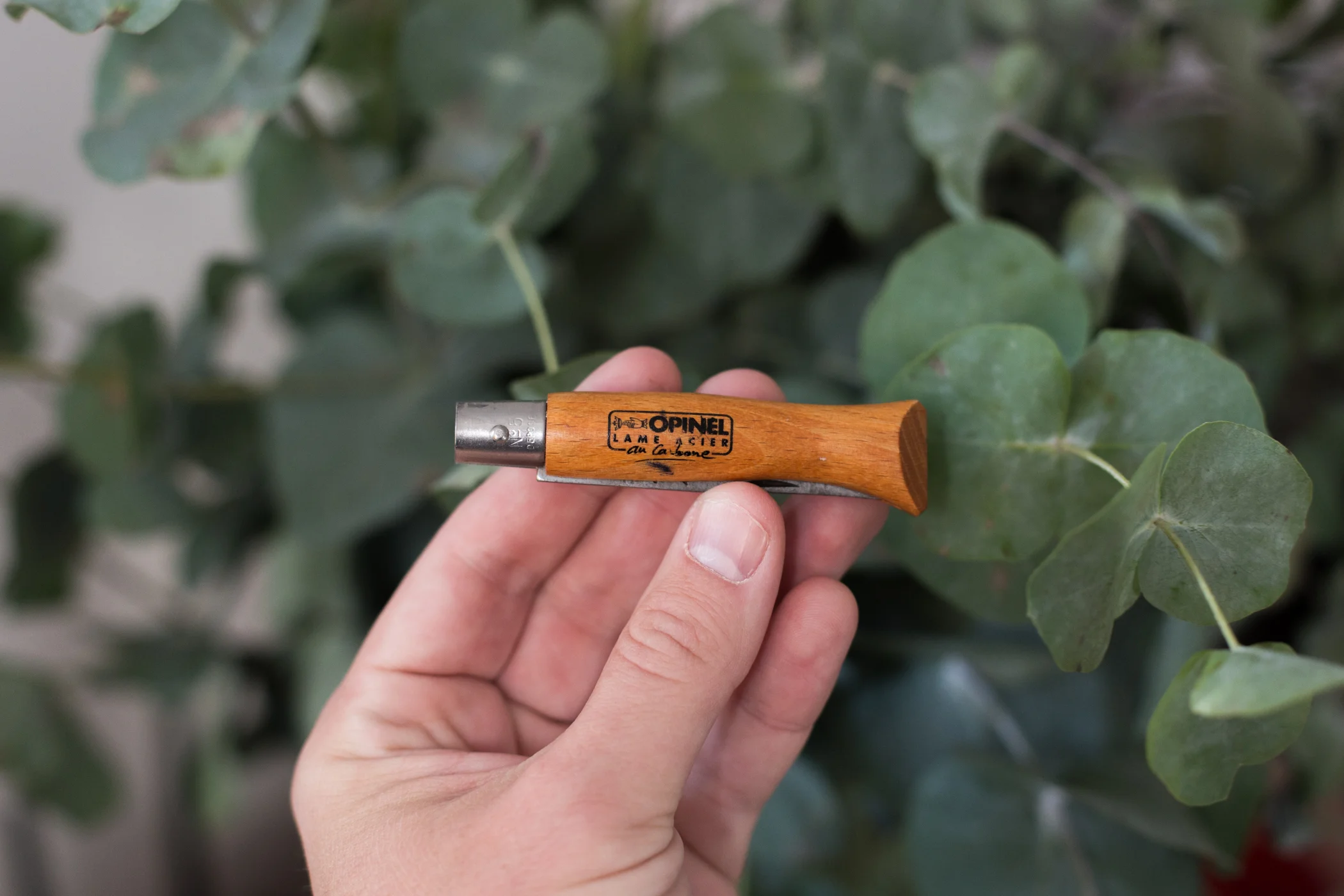 The small but strong Opinel No. 5 