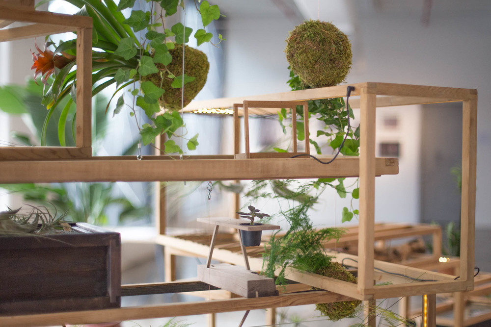 Plant in City on display at Wanted Design Brooklyn 2015 . 