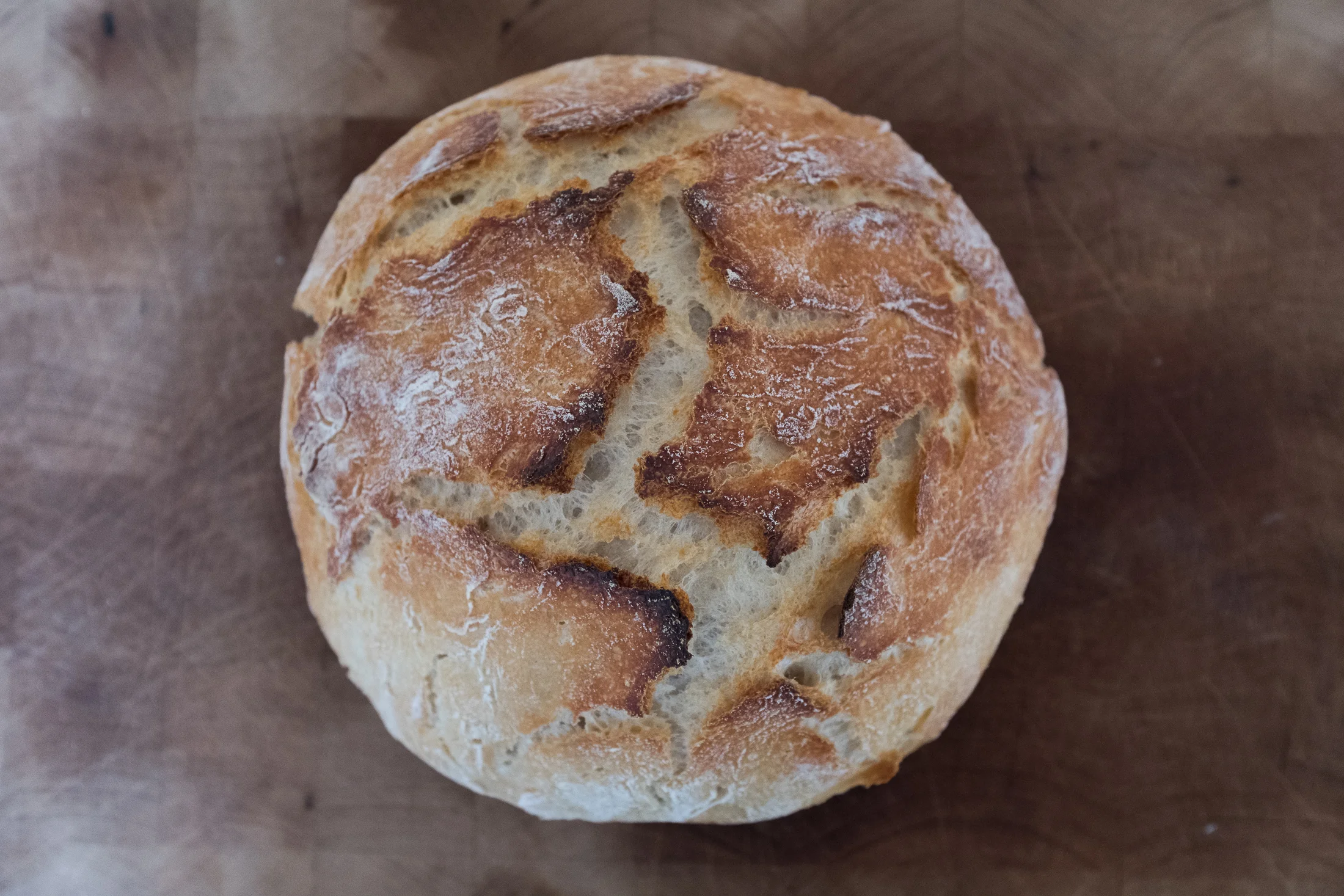 no-knead-bread-5505.jpg