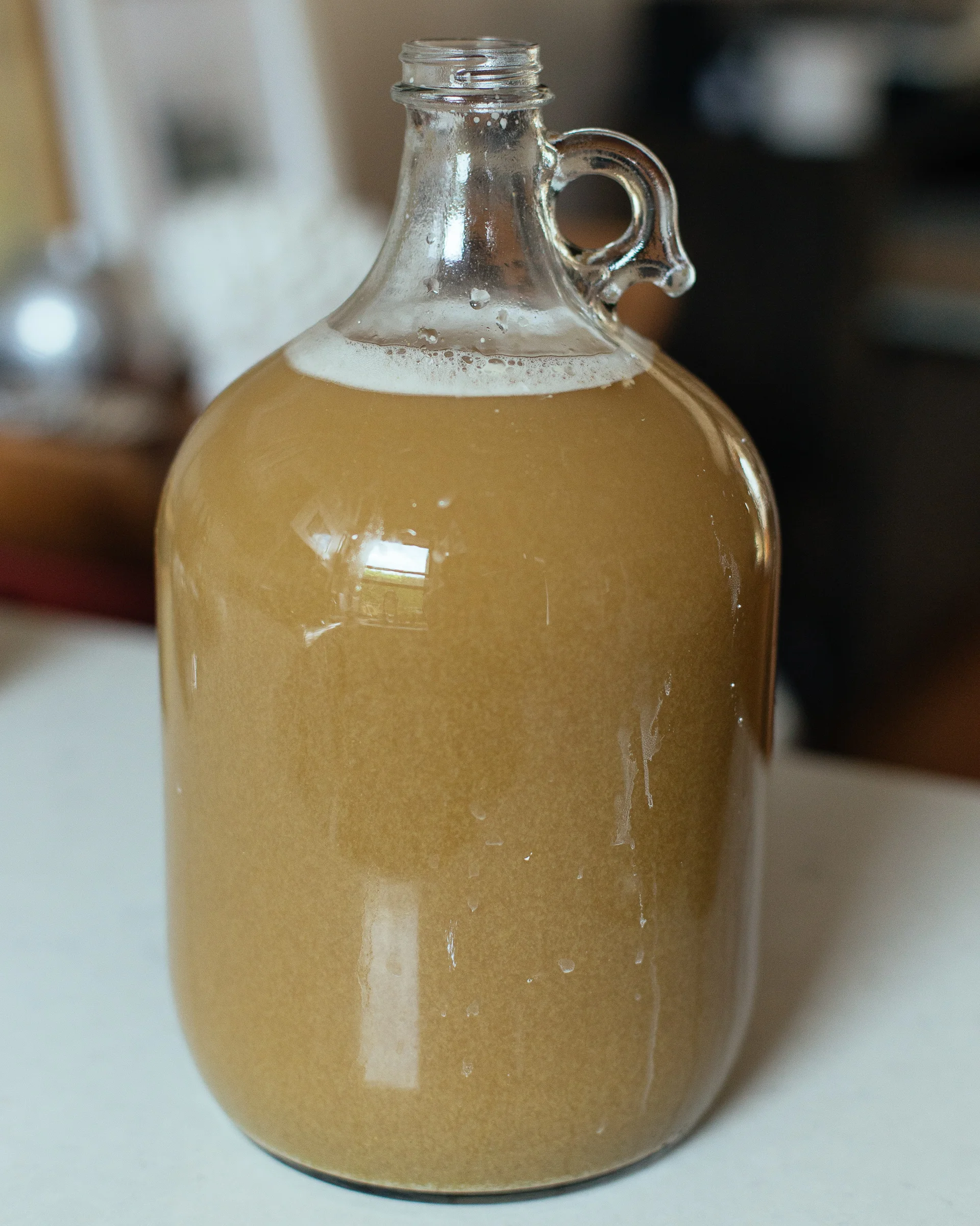 After the boil and ready to ferment for two weeks. Afterwards, I put a blowoff tube on top and moved the jug to a dark place for fermentation.