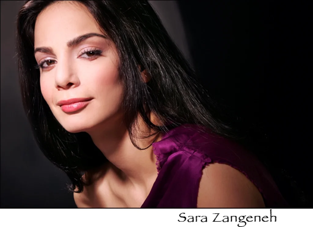 Sara Zangeneh, Actor