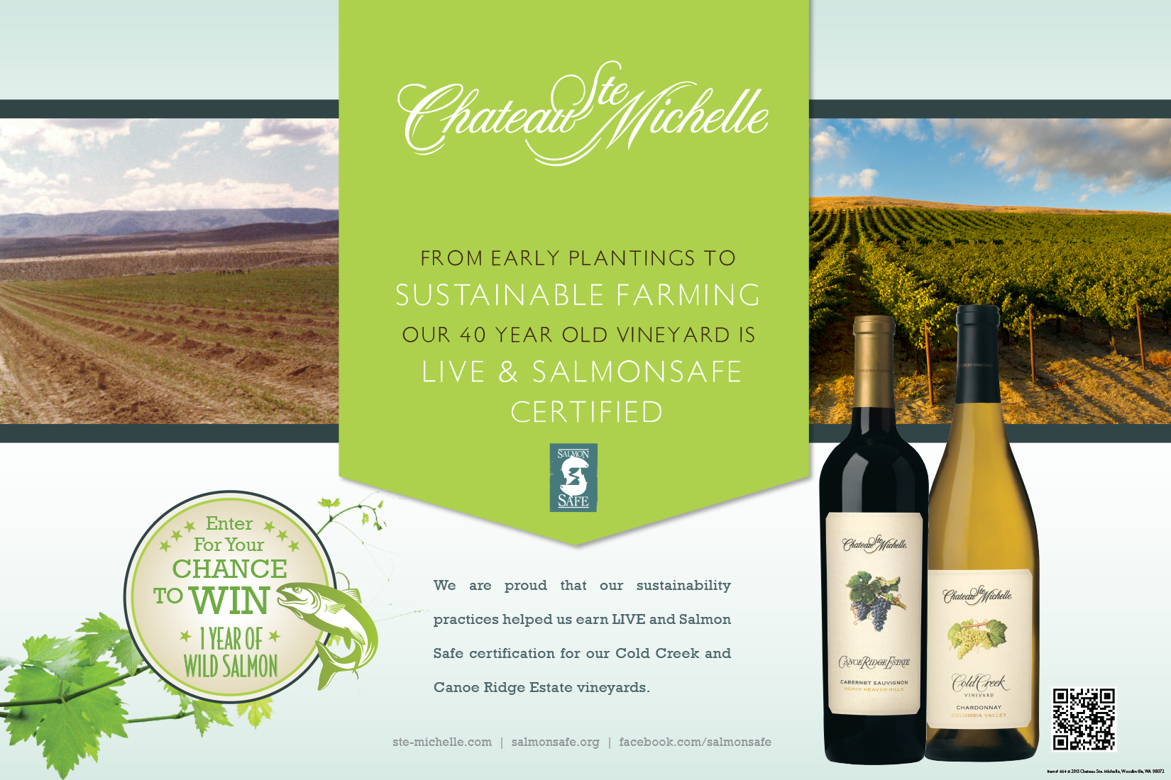 CSM 181.13 BANNER Salmon Safe Summer F_lo.png