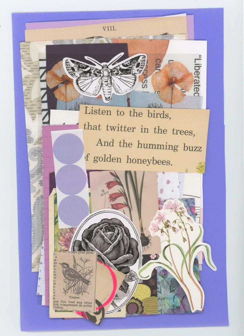 collagepack.mindyswap 2.jpeg
