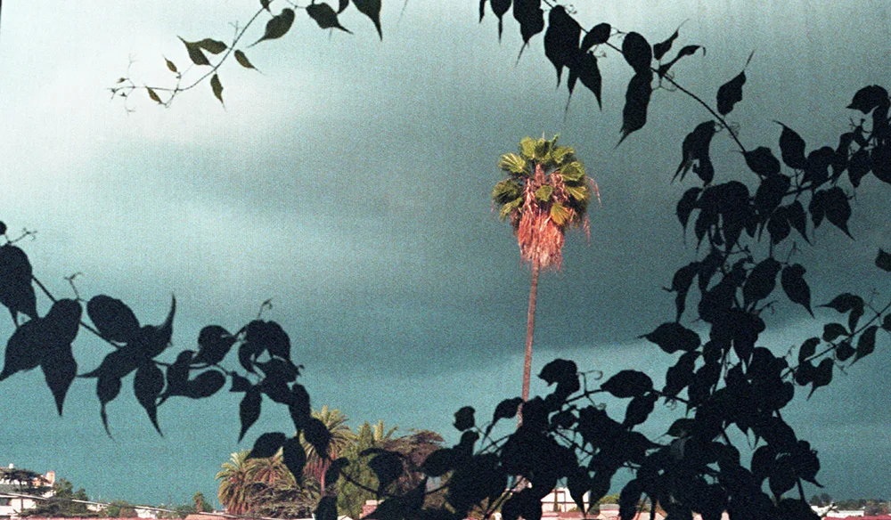 echo park 003.jpg