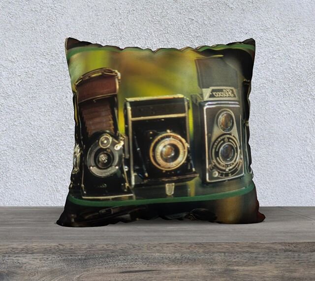 |VINTAGE CAMERA SHOP PILLOWCASE|⠀
⠀
Camera obscures flips our perspective and captures it forever with the click of a shutter. Possess the captured camera once for a change! 📸 ⠀
⠀
#photography #cameras #italy #vintage #rome #travel #artist #homedeco