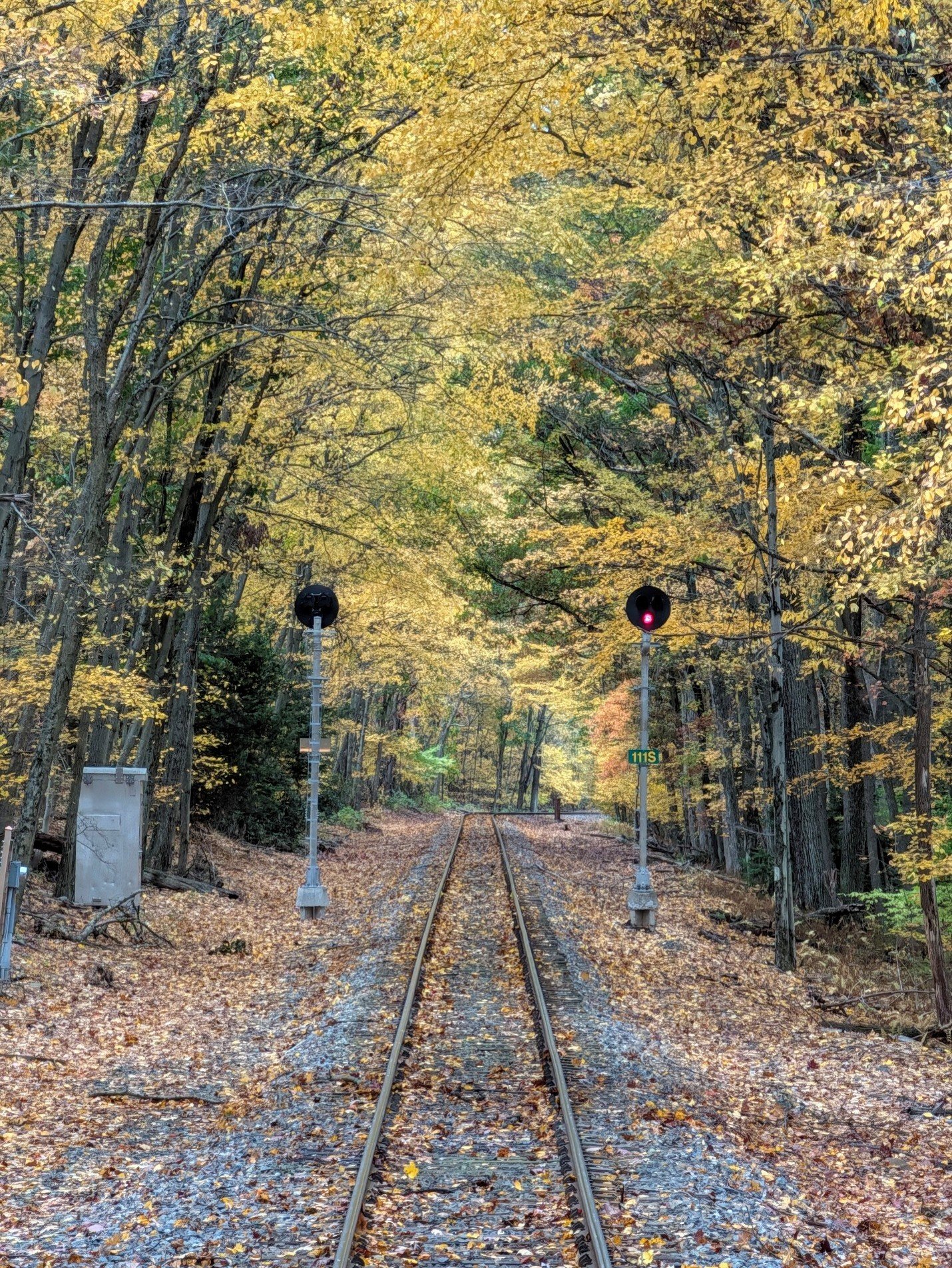 Reading &amp; Northern Railroad Takes Major Step to Enhance Safety with Signal System Completion