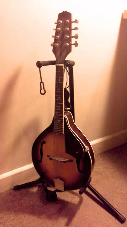 Callum Stewart's Mandolin, that was sampled for this Ableton Live Instrument