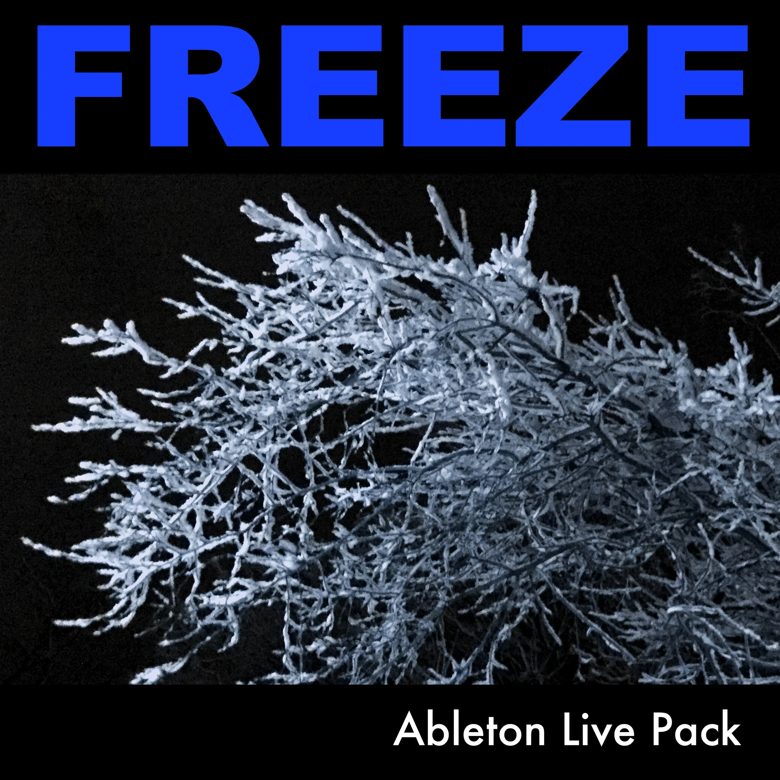 Freeze.jpg