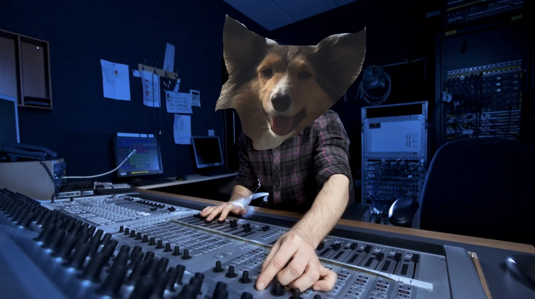vera mix.jpg