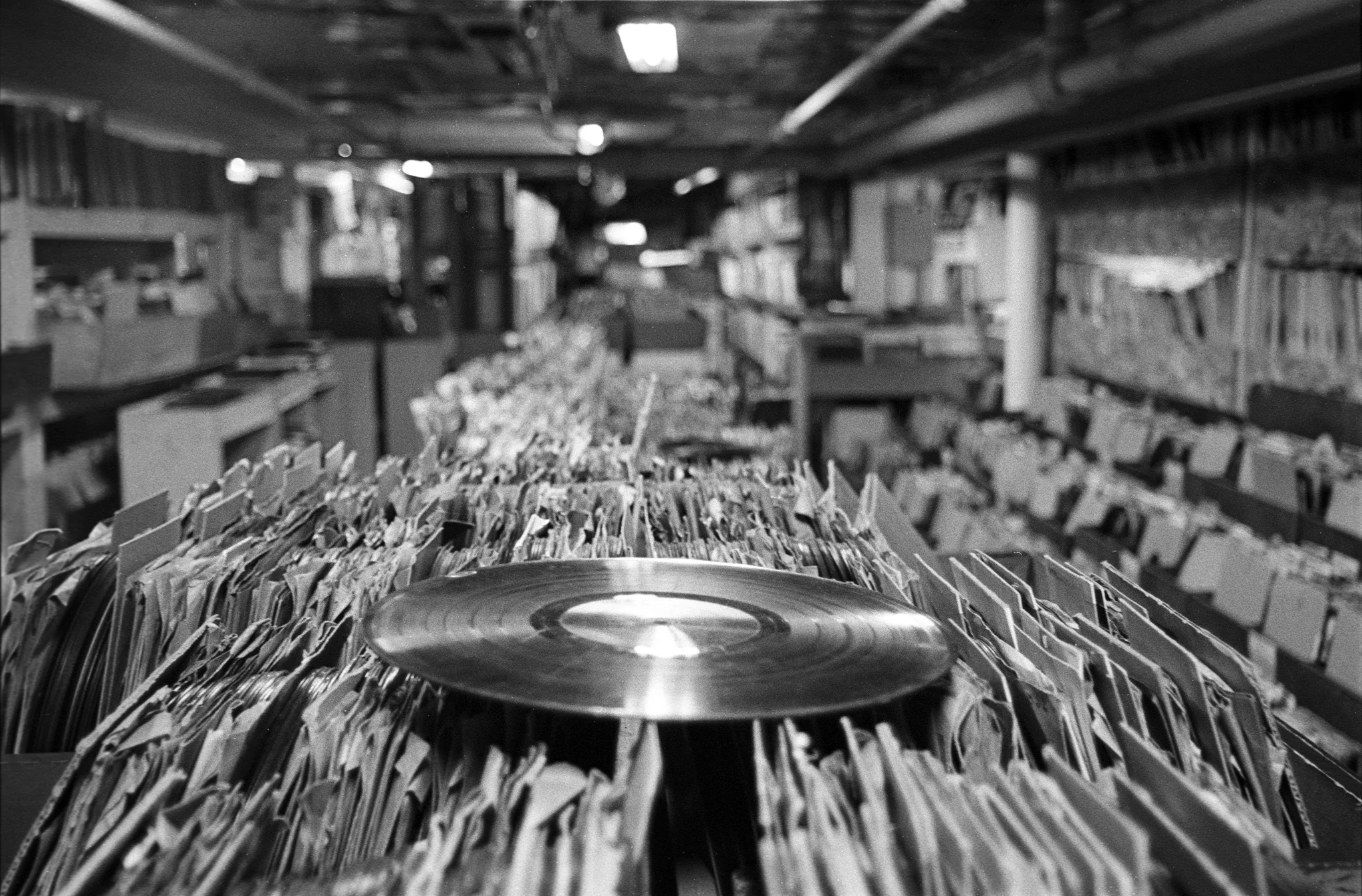 Snapshots of This Week in Music 2/14/16 - 2/20/16