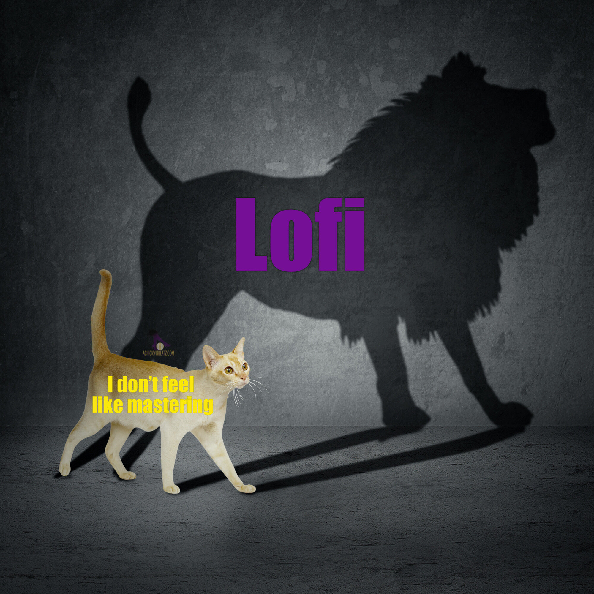 Lofi = I don’t feel like mastering cat & lion meme.JPG