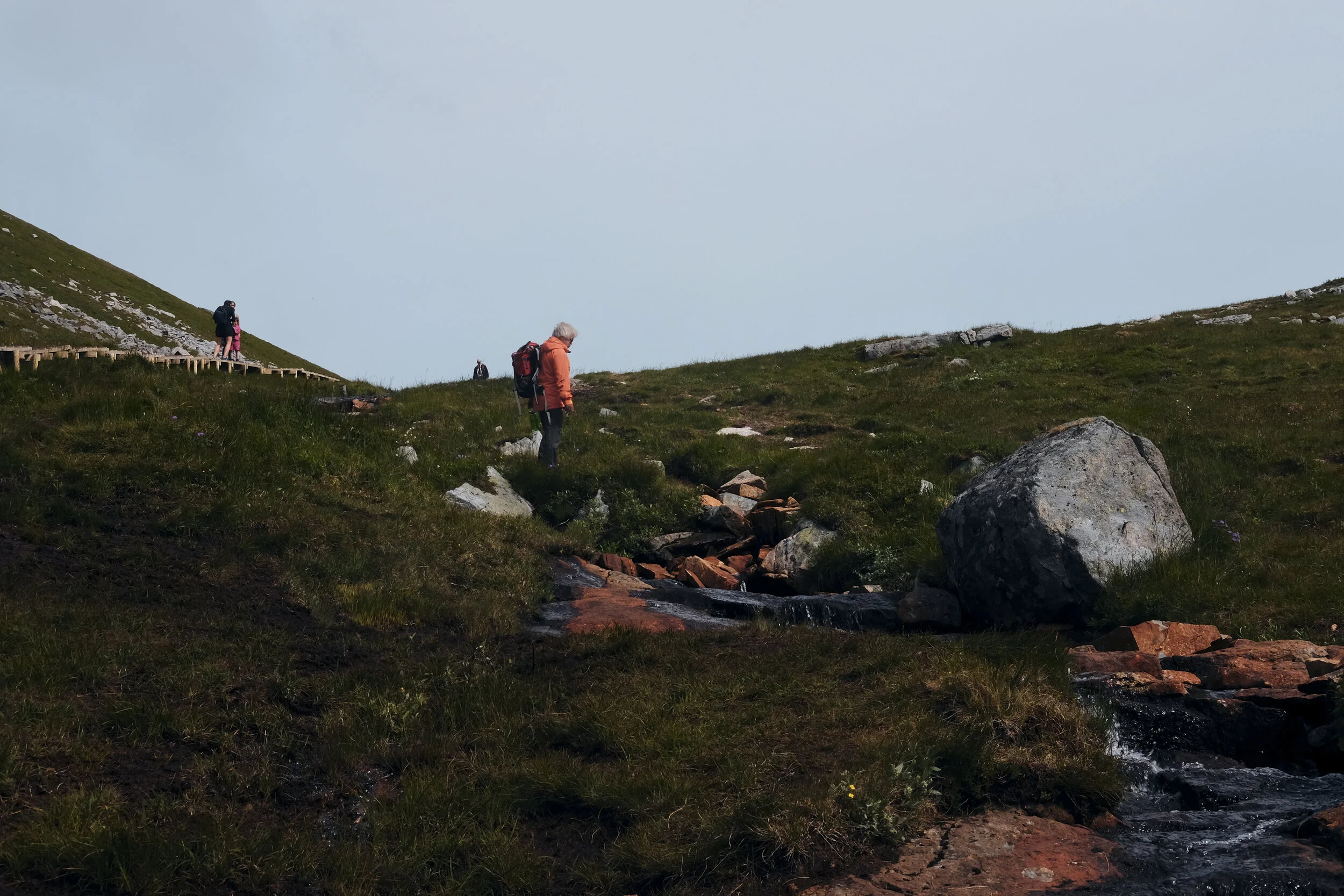 DSCF3118.jpg
