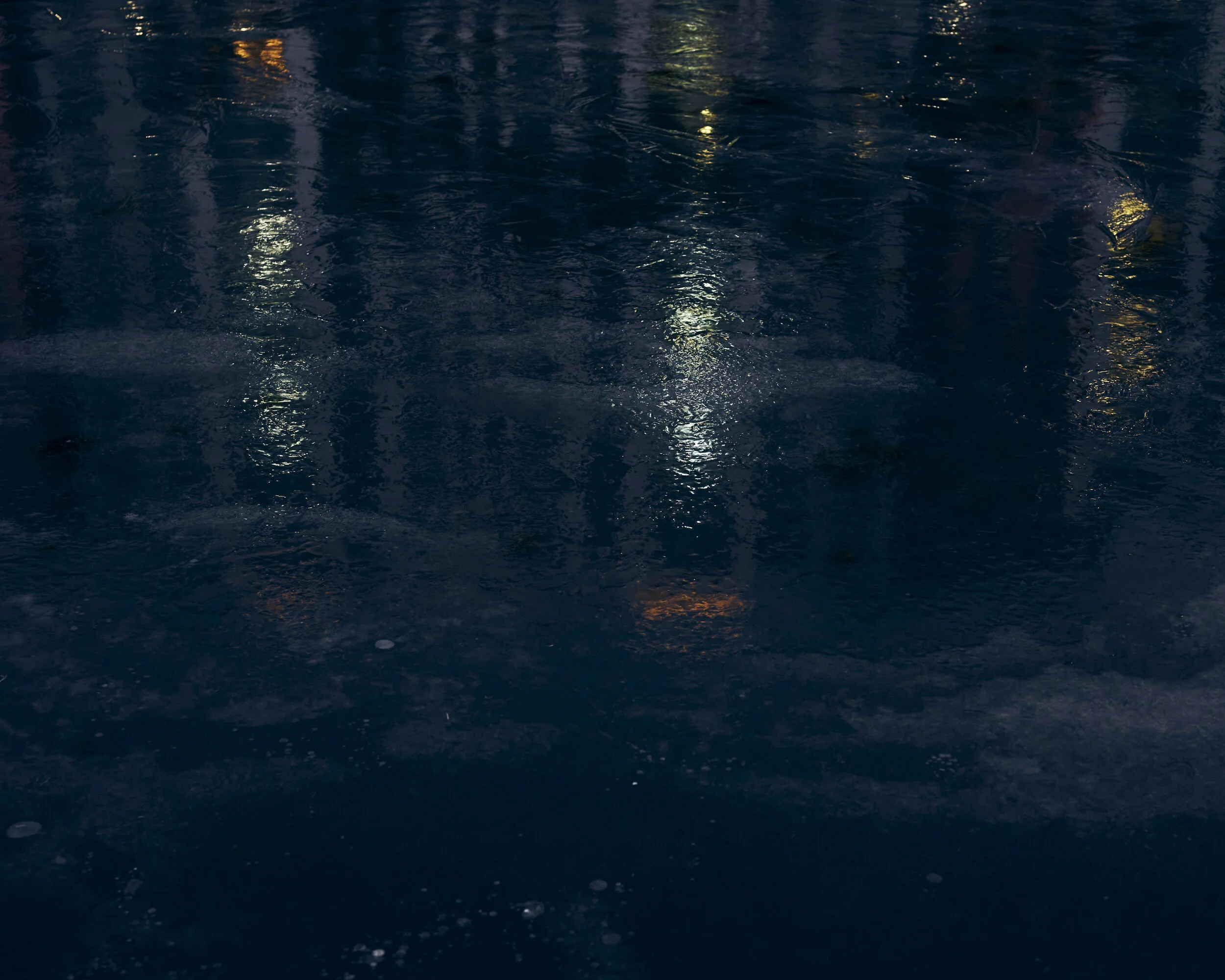 _DSC8803.jpg