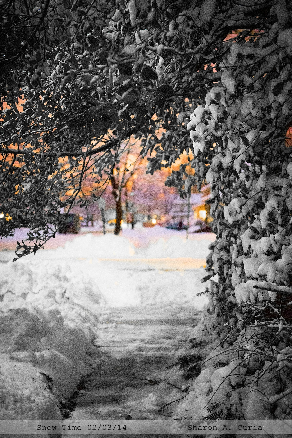 Snow-002.jpg