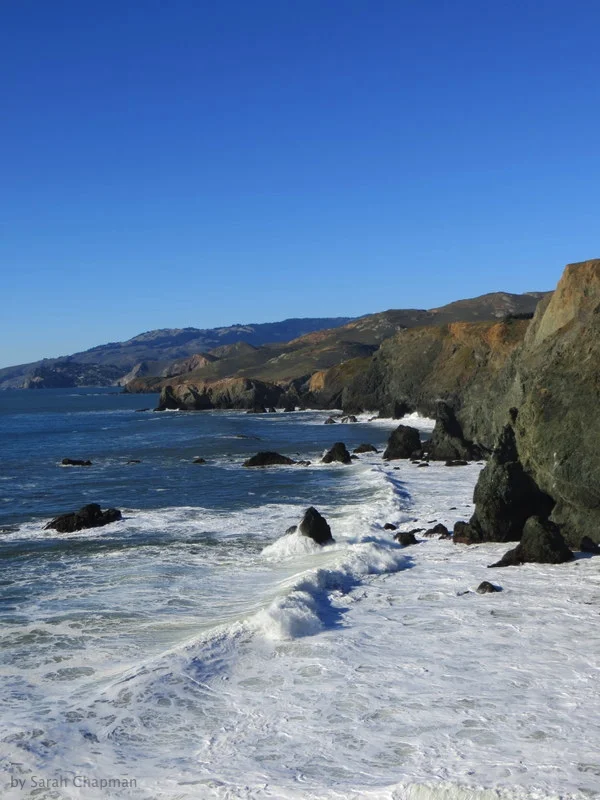 "Marin county"
