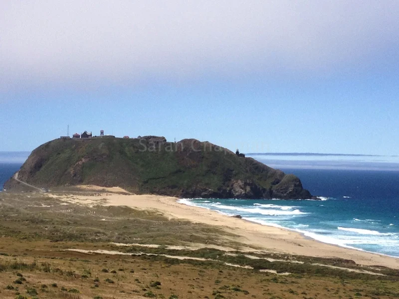 "Big Sur"