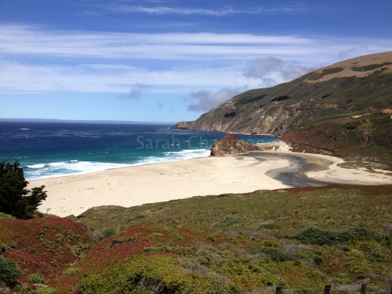 "Big Sur"