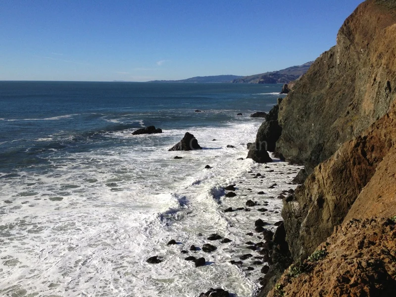"Marin county"
