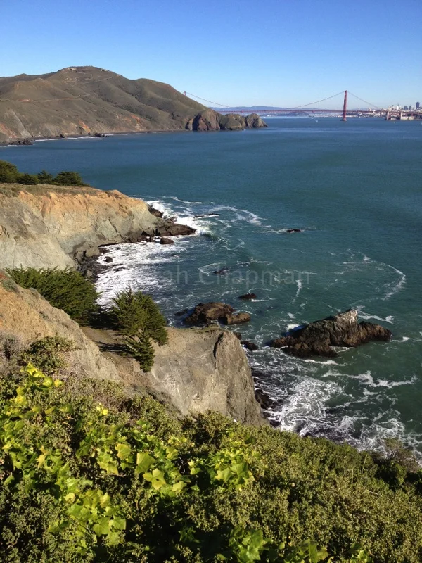 "Marin county"