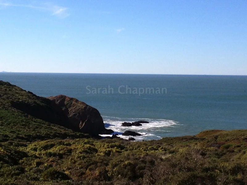 "Marin county"