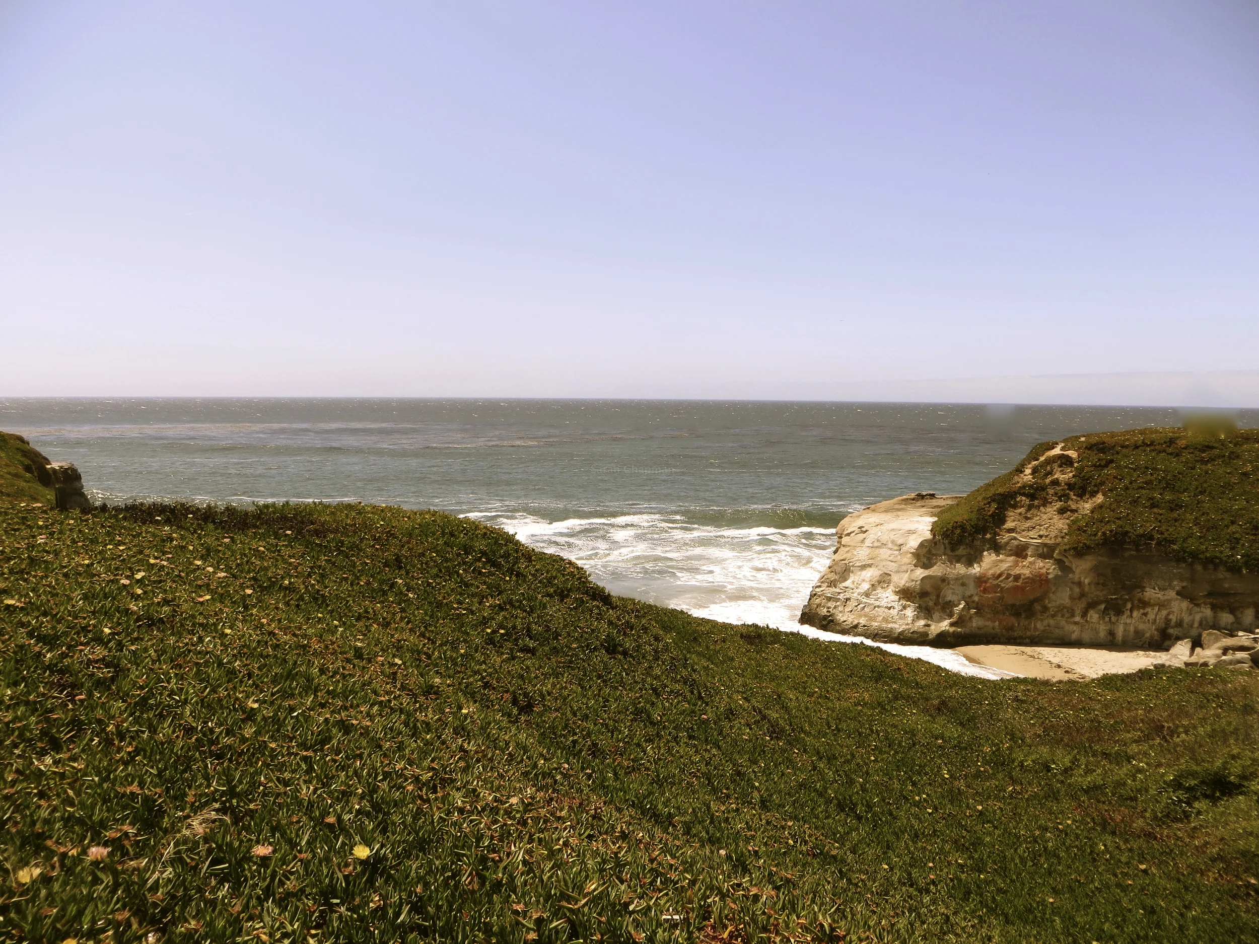 "Marin county"