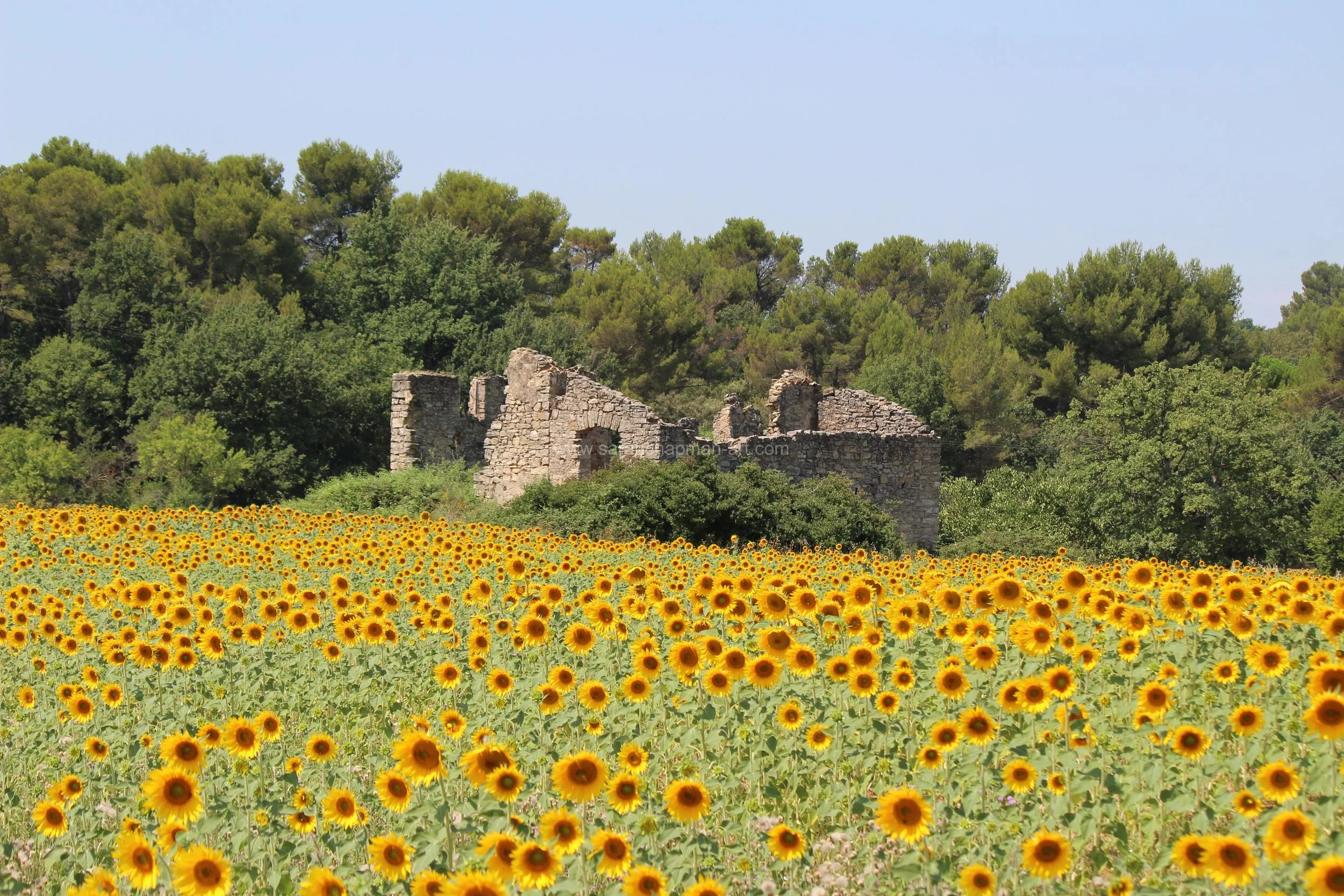 Carnet de voyage #101,