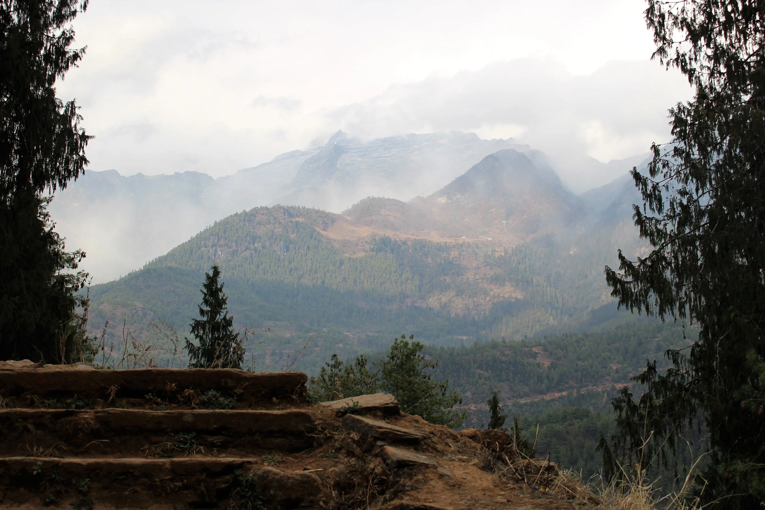 IMG_1038 (2) - Copy.JPG