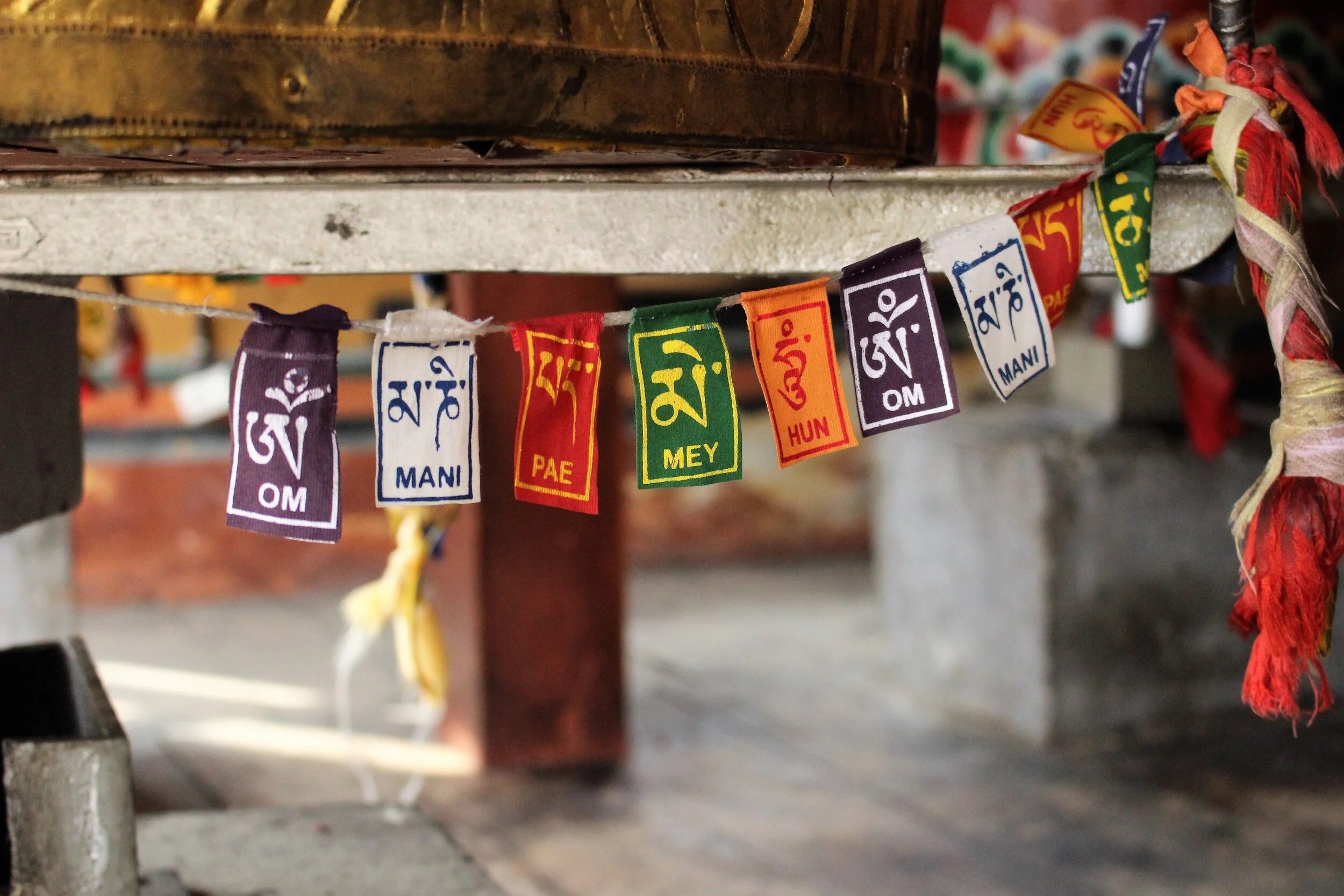 IMG_8890 (2).JPG