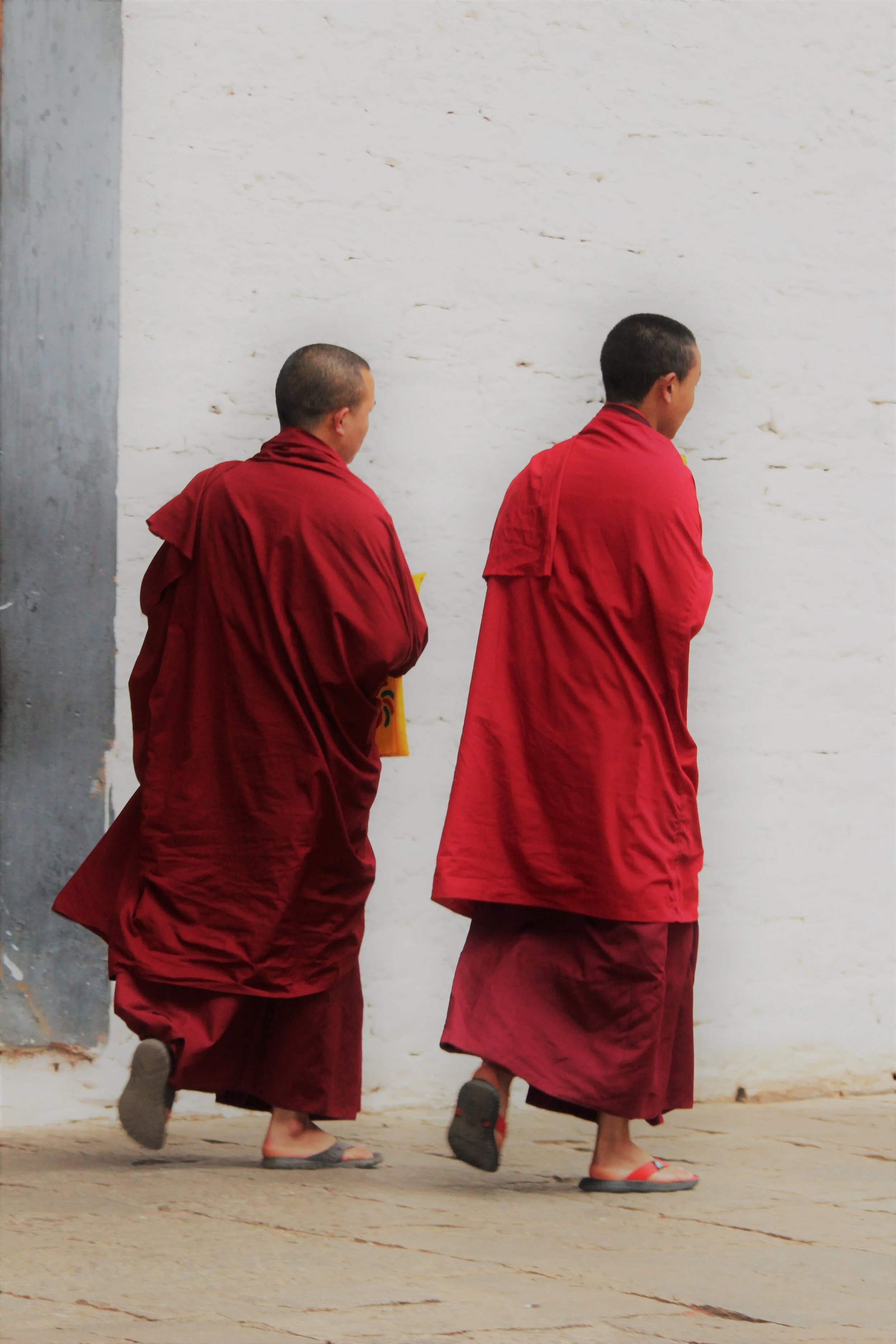 IMG_9573 (2).JPG