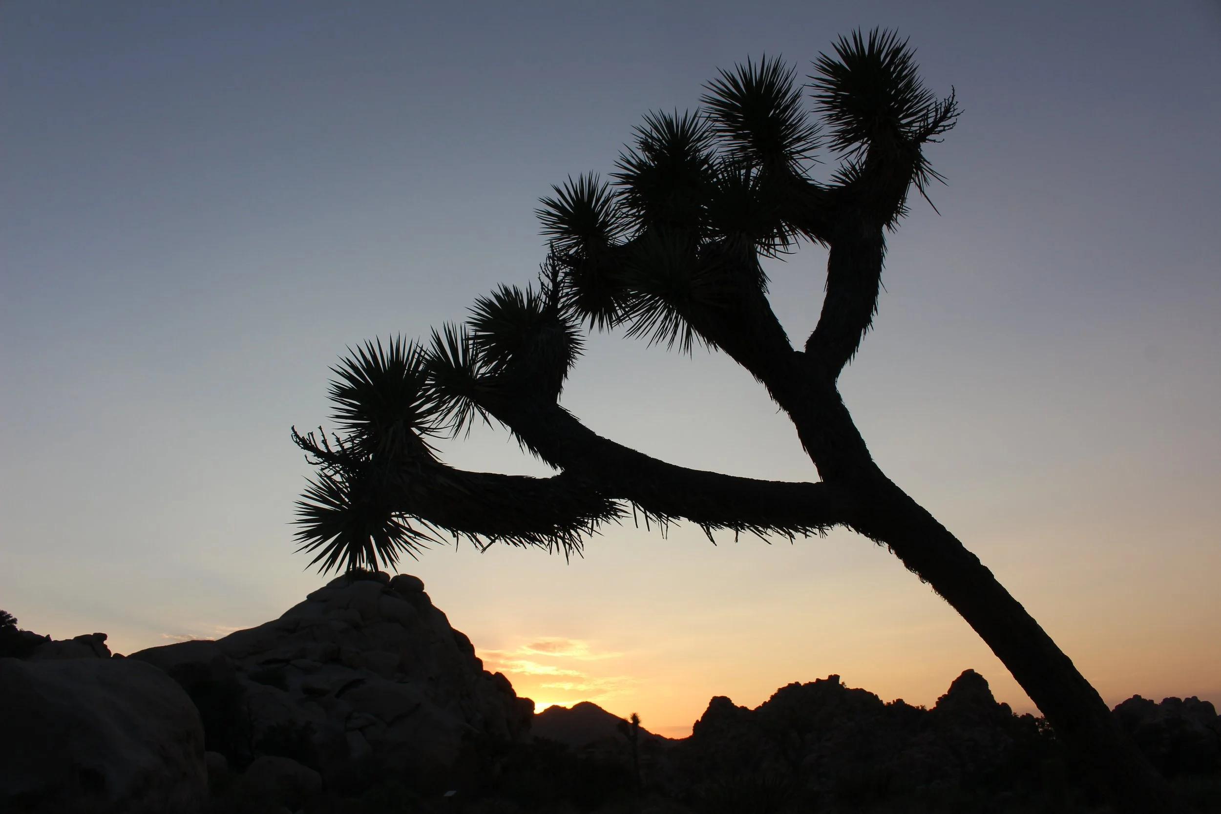 IMG_3119 - Copy.jpeg