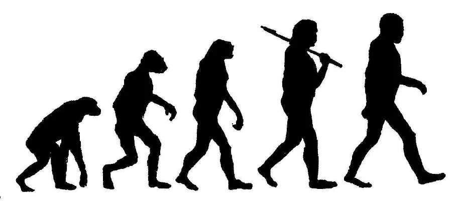 human-evolution.jpg