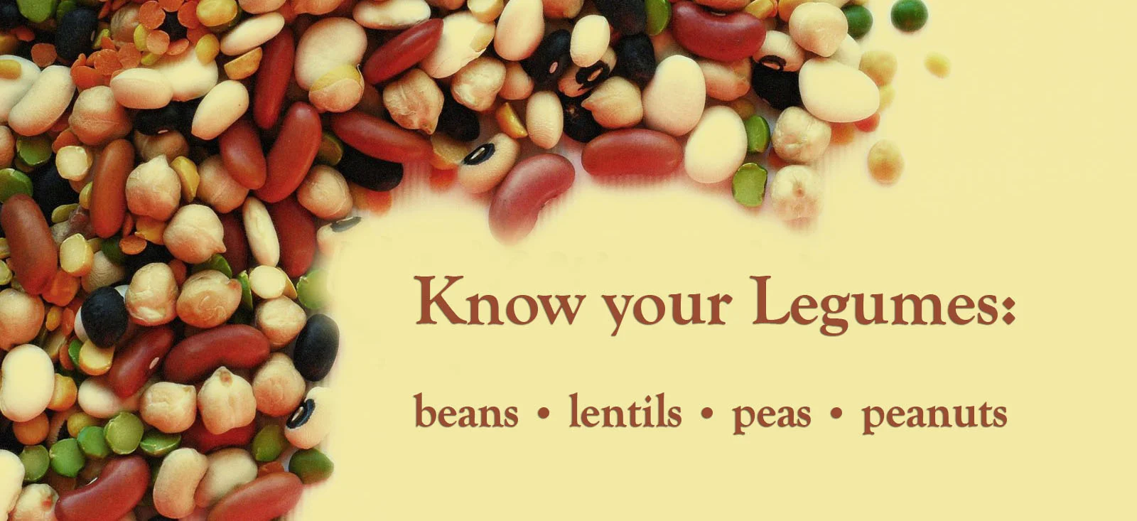 Are Grains and Legumes bad for you? — CLARISSA SMIRNOV